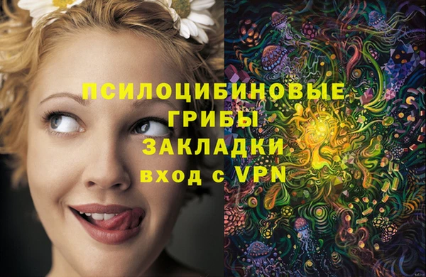 ПСИЛОЦИБИНОВЫЕ ГРИБЫ Каменногорск