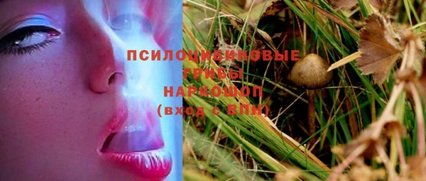 хмурый Каменка